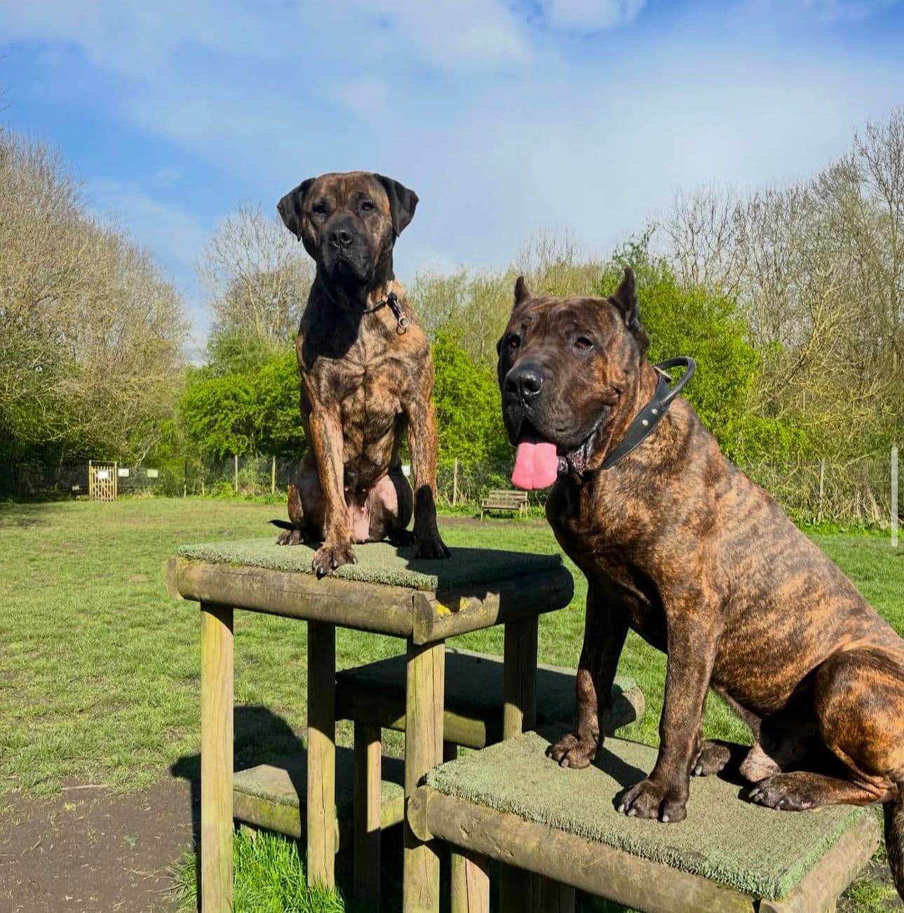 P.K. Raw & Natural shop front on Somers Road in Halesowen